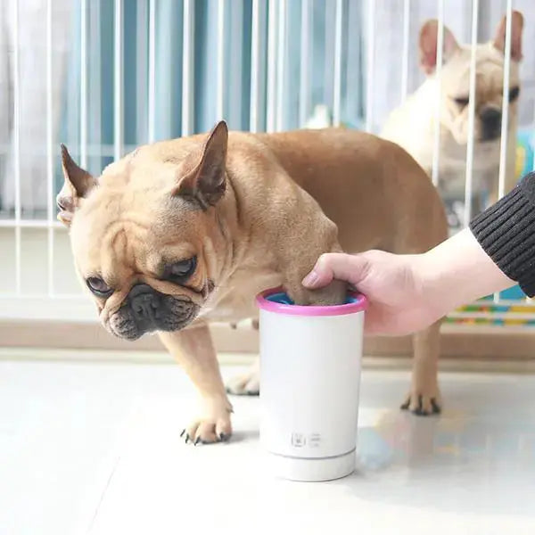 Dog Paw Washer Cup with Blue Interior Brushes and Round Opening [YQT:LV-260921-001:84ac984e9807bd16]